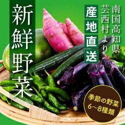 [先行予約]野菜 朝採れ 野菜詰め合わせ 5000円 朝獲れ セット 芸西村の新鮮野菜6〜8種類 野菜 詰め合わせ お試し 新鮮 食べ比べ 特産品 ピーマン 環境 ナス 旬 支援品 故郷納税 野菜セット 産地直送 こだわり栽培 環境に優しい ランキング 人気