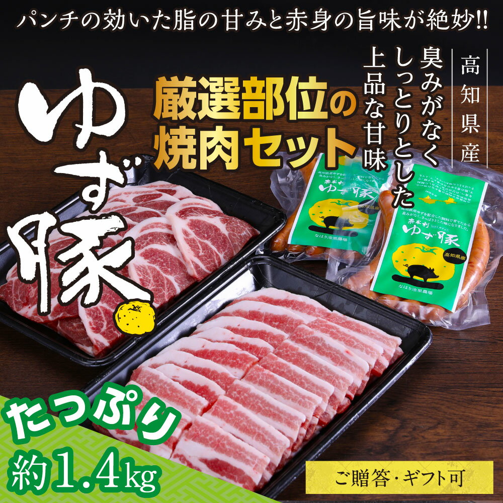 【ふるさと納税】【高知のブランド豚/ゆず豚】厳選部位の焼肉セット 約1.4kg 焼肉用 肩ロース500g バラ500g ソーセージ5本入り 2P 小分け BBQ やきにく 焼き肉 ソーセージ 豚肉 国産 詰め合わ…