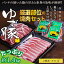 【ふるさと納税】【高知のブランド豚/ゆず豚】厳選部位の焼肉セット(約1.4kg)焼肉用 肩ロース500g バ..