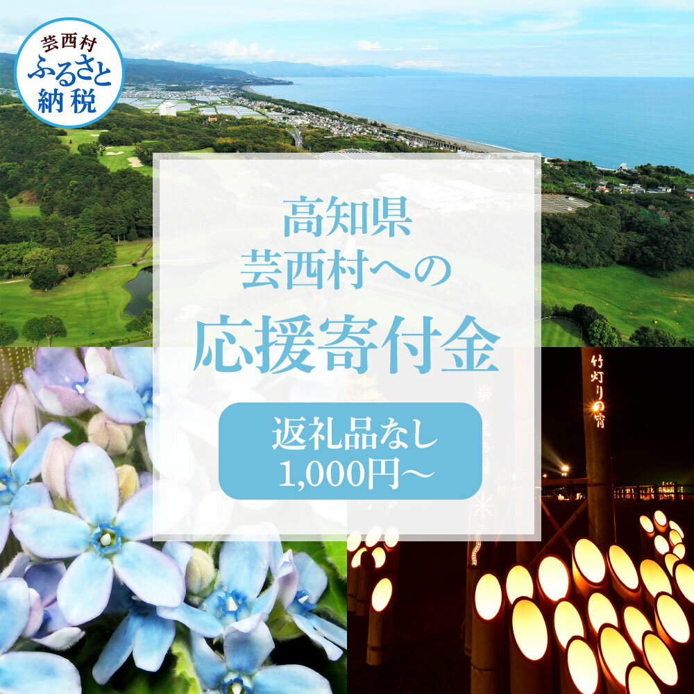 芸西村応援寄付金 寄附のみ 1000円〜 返礼品なし 高知県芸西村 (寄付のみ 1000円 ポッキリ 送料無料 ポイント消化 お買い物マラソン 買い回りにも)