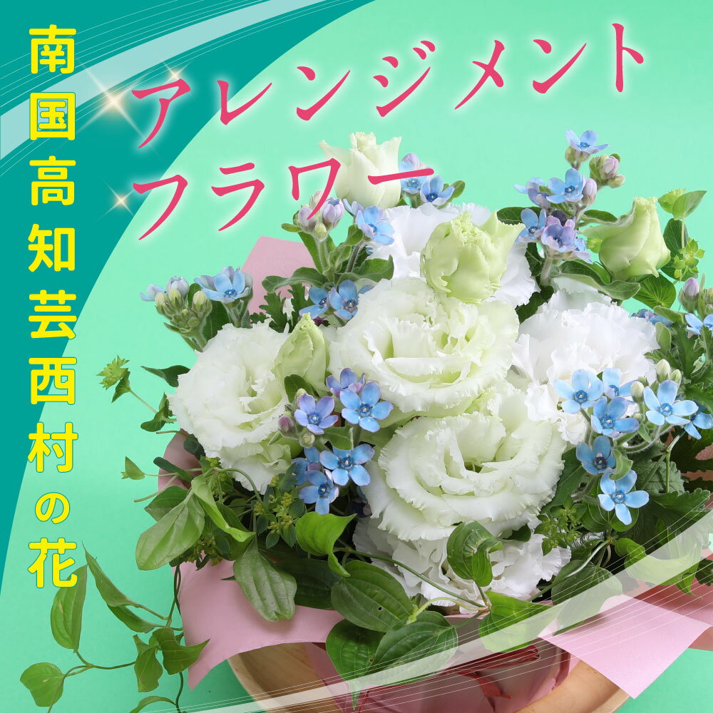 【ふるさと納税】 先行予約 芸西村のお花を使ったアレンジメント（小） 故郷納税／ドイツIPM ESSEN 2011国際園芸見本市の品評会切り花部門最優秀賞を受賞した“ブルースター”などの芸西村特産の花々を使ったカゴ入れフラワーアレンジメント