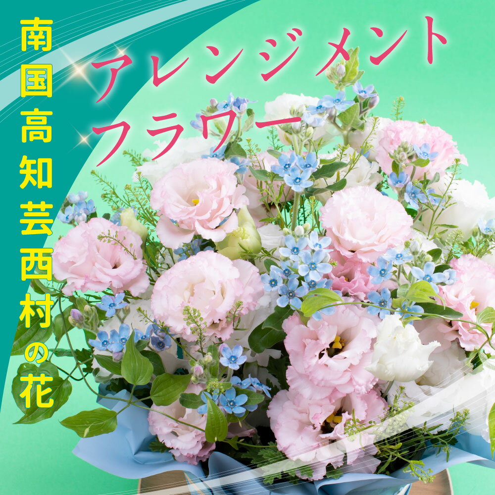 【ふるさと納税】 先行予約 芸西村のお花を使ったアレンジメント（中） 故郷納税 2万円／ドイツIPM ESSEN 2011国際園芸見本市の品評会切り花部門最優秀賞を受賞した“ブルースター”などの芸西村特産の花々を使ったカゴ入れフラワーアレンジメント