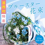 【ふるさと納税】 芸西村特産ブルースター花束（約15本程度の花束）故郷納税／高知県芸西村産で世界一にも輝いたブルースター（ピュアブルー）を生産地よりお届け 花言葉は「幸福な愛」「信じあう心」大切な方への贈り物としても