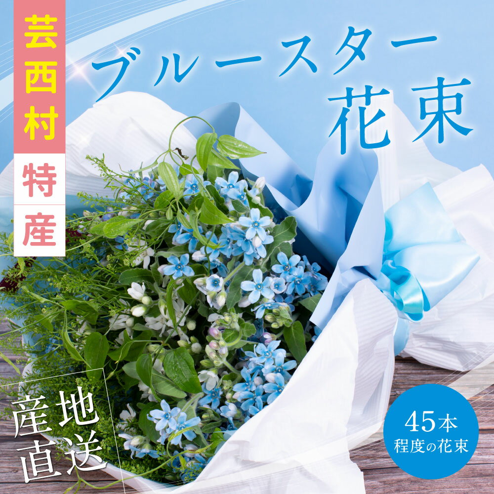 【ふるさと納税】 芸西村特産ブルースター花束（約45本程度の花束）故郷納税／高知県芸西村産で世界一...