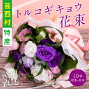 【ふるさと納税】 芸西村特産 トルコギキョウ花束（約10本程度の花束）故郷納税／高知県芸西村産のトルコギキョウを生産地よりお届け 花言葉は「優雅」「すがすがしい美しさ」「希望」「永遠の愛」大切な方への贈り物としても 10月中旬より発送