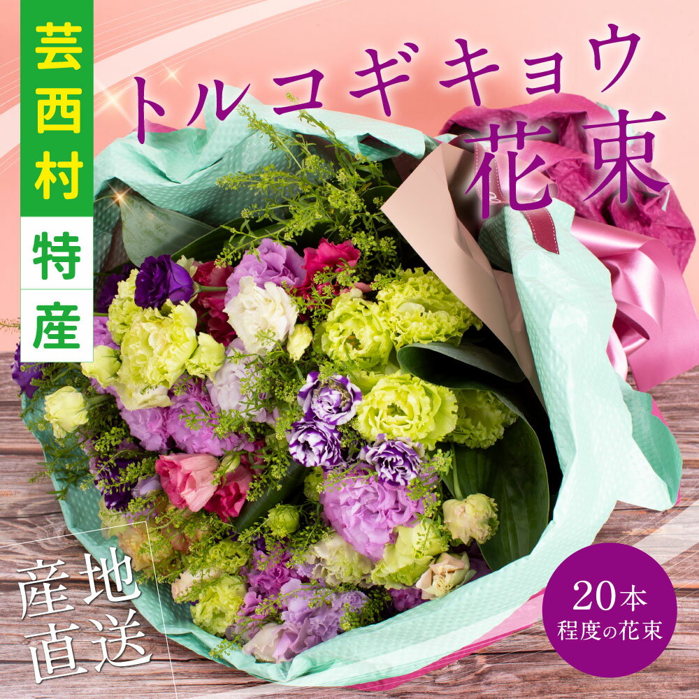 【ふるさと納税】 芸西村特産 トルコギキョウ花束（約20本程度の花束）故郷納税／高知県芸西村産のトルコギキョウを生産地よりお届け 花言葉は「優雅」「すがすがしい美しさ」「希望」「永遠の愛」大切な方への贈り物としても 10月中旬より発送