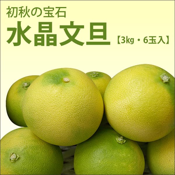 【ふるさと納税】コロナ　緊急支援　高知産　水晶文旦【数量限定】3kg・6玉入＜土佐市共通返礼品＞【s-kensyo】