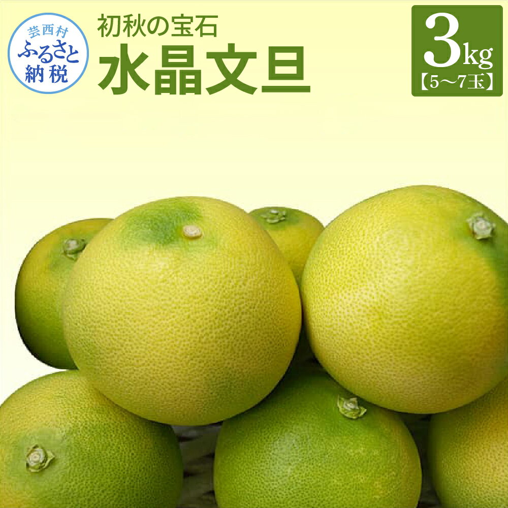 【ふるさと納税】 先行予約 高知産 水晶文旦【数量限定】3kg・5～7玉入＜土佐市共通返礼品＞【s-kensyo】秋 味覚（9月下旬よりお申込み順に発送予定）のサムネイル