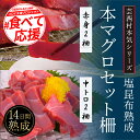 【ふるさと納税】コロナ緊急支援 芸西村本気の人気海鮮『塩昆布14日間熟成 本マグロ(赤身&中トロ)セット柵(各2P計4P)』故郷納税 2万円台 ご褒美 本まぐろ...