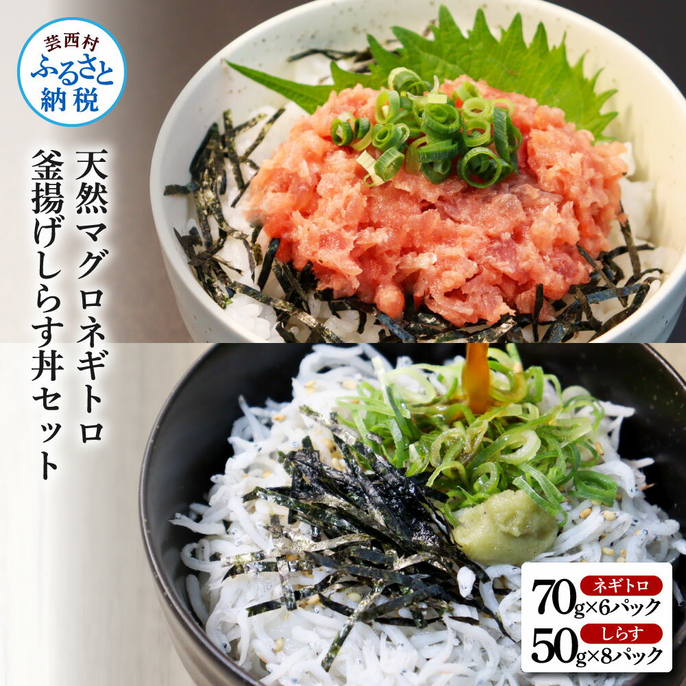 【ふるさと納税】天然マグロのねぎとろ丼と釜揚げしらす丼セット 合計14パック 高知県産 無添加 しらす シラス 小分け 国産 天然 まぐろたたき まぐろ ネギトロ丼 海鮮丼 軍艦巻き 手巻き寿司 お寿司 冷凍 まとめ買い お取り寄せ 13000円･･･