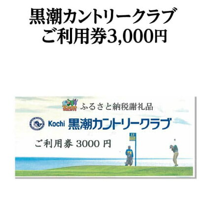 コロナ 緊急支援 kochi黒潮カントリークラブ ご利用券 3000円 ＜ゴルフ カシオワールドオープン開催コース 黒潮カントリークラブ＞ ふるさと納税ゴルフ場利用券 名門 プロツアー 開催コース チケット ゴルフ（GOLF Golf golf） ゴルフチケット プレー券 人気