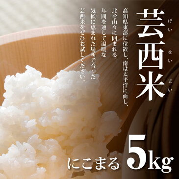 【ふるさと納税】芸西米(げいせいまい)