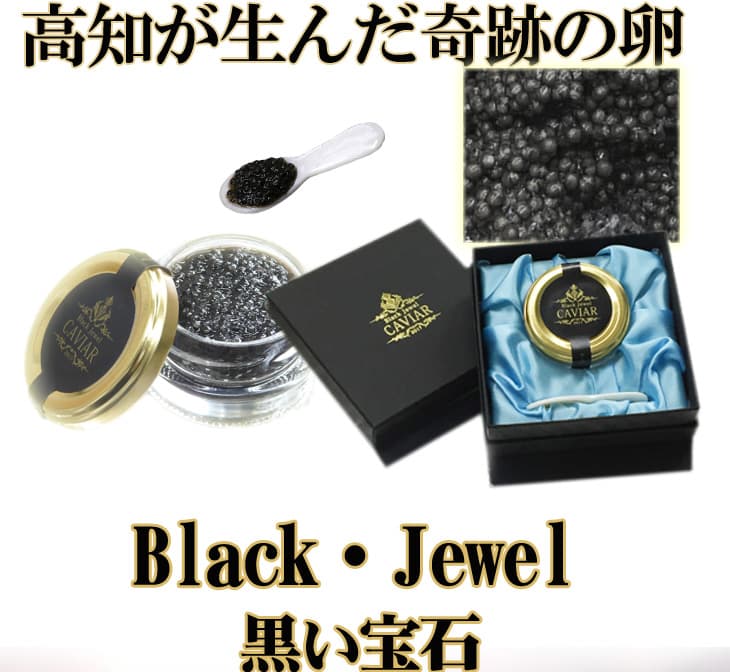 【ふるさと納税】 熟成キャビア（30g）ブラックジュエル化粧箱入りシェルスプーン付チョウザメ 卵 魚卵高知県産 故郷納税 4万円【koyofr】卵一粒に旨みが凝縮【geiseiymt】＜高知市共通返礼品＞