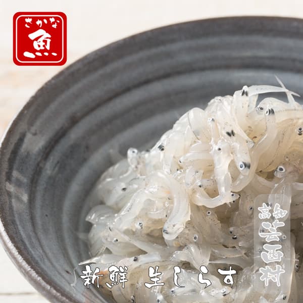 【ふるさと納税】 生しらす【ドロメ】(100g×5P)タレ付(イワシ稚魚) 故郷納税【koyofr】【geiseiymt】【高知市共通返礼品】