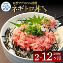 【ふるさと納税】《2~12ヶ月定期便》天然マグロのタタキ丼セット 65g×6P 定期コース 定期 高知県 返礼品 14000円~ 海鮮 天然 まぐろ 鮪 ネギトロ丼 まぐろたたき 海鮮丼 お寿司 軍艦巻 手巻寿司 おかず 使いやすい 便利 かんたん 個食 冷凍配送 小分け お手軽 故郷納税