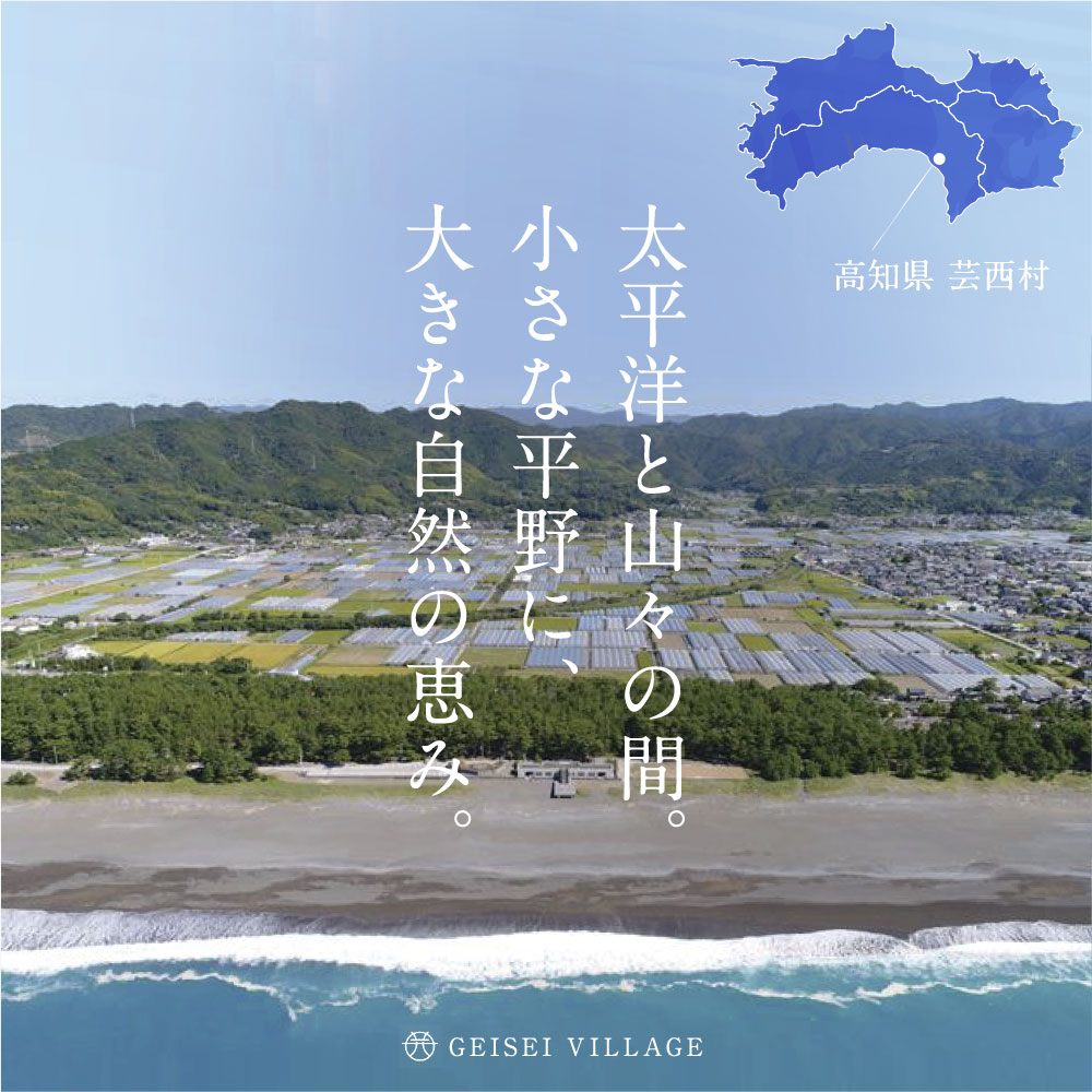 【ふるさと納税】 野菜とお米の詰合せ／芸西村で採れた新鮮な野菜5～6種類とお米5kgをセットにしてお届けします。特産品 ピーマン ナス こだわりの栽培方法 環境に優しい 安全で安心な野菜づくり コロナ 支援品