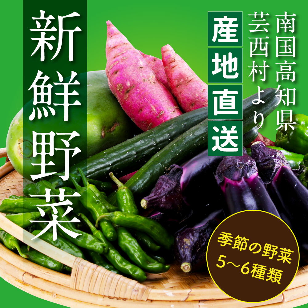 朝どれ! 野菜詰合せ/芸西村で採れた新鮮な野菜5〜6種類をお届けします。特産品 ピーマン ナス こだわりの栽培方法 環境に優しい 安全で安心な野菜づくり コロナ 支援品