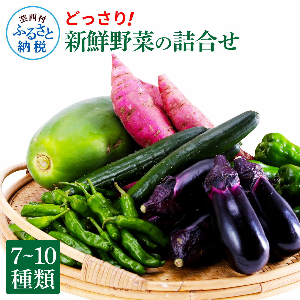 【ふるさと納税】どっさり！新鮮野菜の詰合せ 7～10種類 ピーマン 茄子 なす ナス おまかせ 特産品 野..