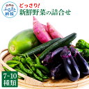 【ふるさと納税】新鮮野菜の詰合せ 7~10種類 ピーマン 茄子 なす ナス おまかせ 特産品 野菜 やさい 野菜セット おかず 健康 新鮮 詰め合わせ お楽しみ セット お取り寄せ 通販 冷蔵 配送 国産 食品 食材 ふるさとのうぜい 旬 故郷納税 高知県 返礼品 9000円