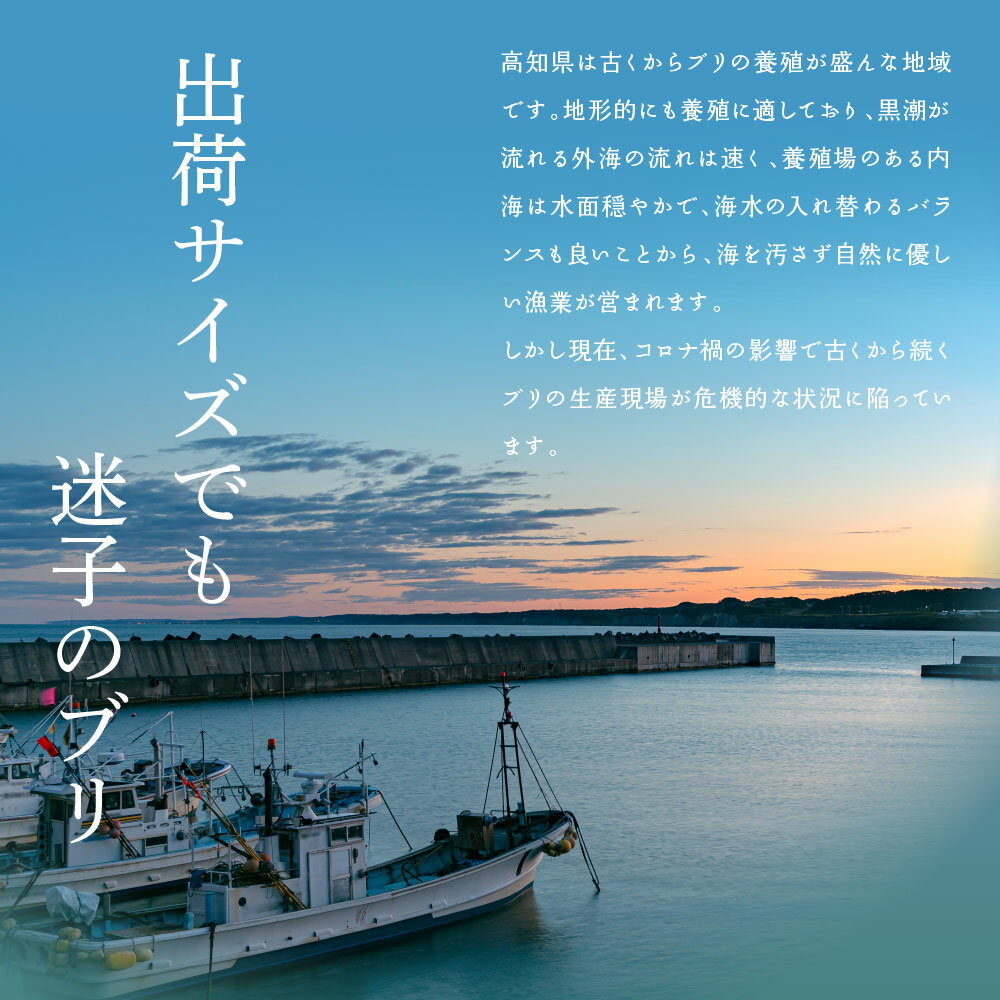 【ふるさと納税】 コロナ 緊急支援 海鮮「ブリの漬け丼の素」1食80g×10P《迷子の鰤を食べて応援 養殖生産業者応援プロジェクト》コロナ応援【順次出荷中】【koyofr】惣菜 そうざい 増量用タレ付 冷凍 保存食 小分け パック 高知 海鮮丼 惣菜 一人暮らし〈高知市共通返礼品〉