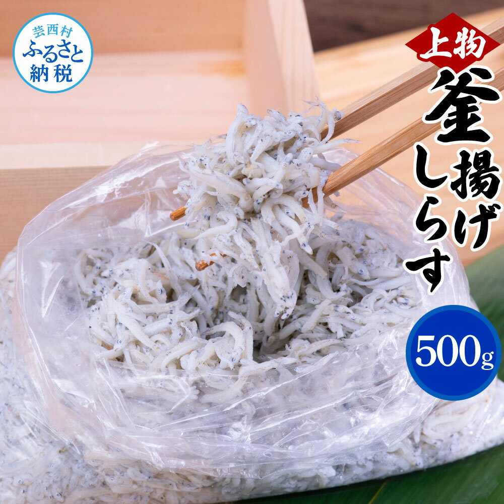 しらす 500g 釜揚げしらす 高知県産 釜揚げシラス 簡易梱包 ご飯のお供 ごはんのお供 離乳食 シラス 国産 釜揚げ 新鮮 しらす丼 冷凍配送 おにぎり おつまみ 減塩 塩分 控えめ おかず しらすピザ 上物 便利 返礼品 7000円 じゃこ ちりめん お茶漬け