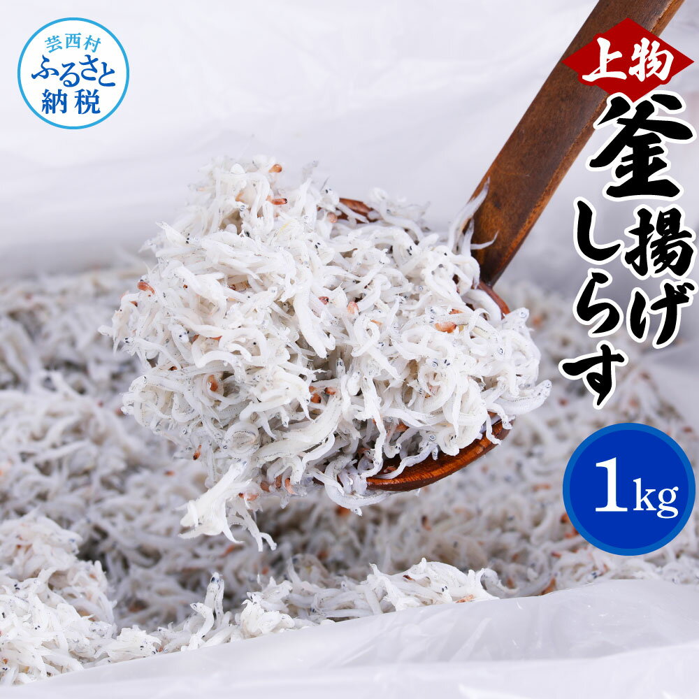 しらす 1kg 釜揚げしらす 高知県産 釜揚げシラス 簡易梱包 ご飯のお供 ごはんのお供 離乳食 大容量 シラス 国産 釜揚げ 新鮮 しらす丼 冷凍配送 おにぎり おつまみ 減塩 塩分 控えめ おかず しらすピザ 上物 便利 返礼品 11000円 じゃこ ちりめん