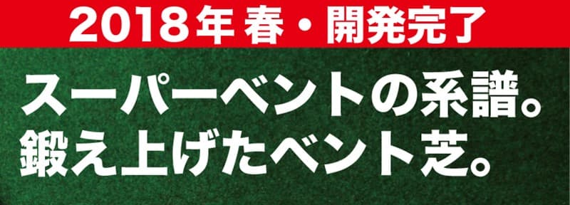 【ふるさと納税】 ゴルフ練習パターマット 高速45cm×3m TOURNAMENT-SB（トーナメントSB）と練習用具（距離感マスターカップ、まっすぐぱっと、トレーニングリング付き） 練習 ゴルフ用品 ゴルフマット 人気 故郷納税 2万円台【TOSACC2019】＜高知市共通返礼品＞