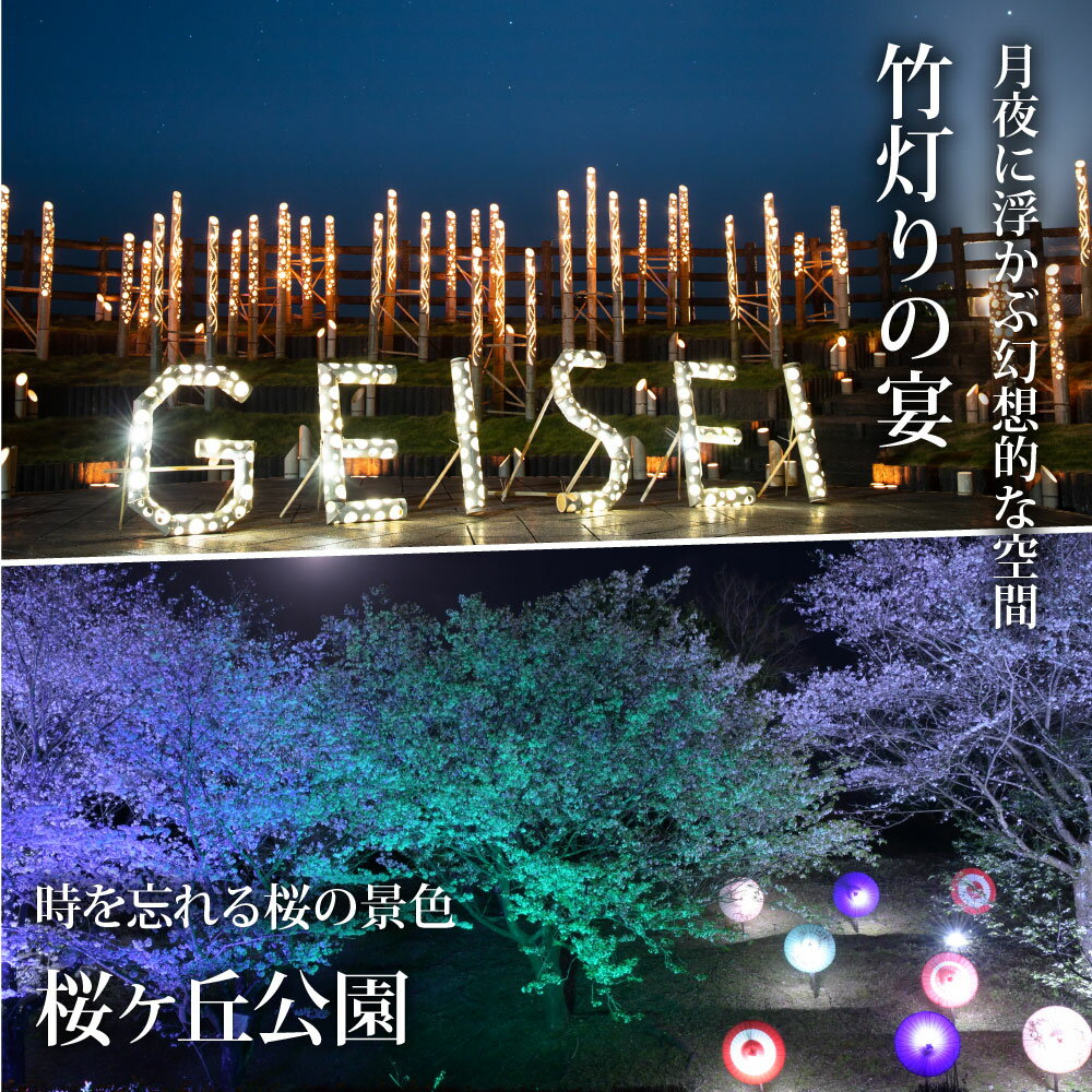 【ふるさと納税】 高知県芸西村の対象施設で使える楽天トラベルクーポン ＜15,000円分クーポン＞ 寄付額50,000円| 旅行 宿泊 宿泊券 チケット 楽天トラベル クーポン スパ ホテル リゾート 高知 土佐 ファミリー ペア 電子チケット ゴルフ ペット 星空その2