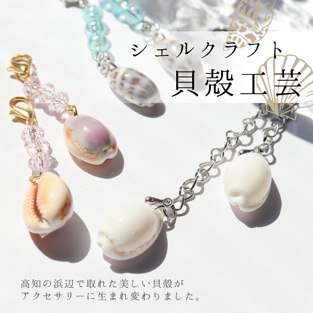 【ふるさと納税】 コロナ 緊急支援 <高知の浜辺でとれた美しい貝殻のマスクチャーム> 2個入り シェルクラフト 貝殻工芸 高知県 返礼品 マスク チャーム かわいい おしゃれ 女性 ギフト プレゼント 海 夏 貝殻 シェル モチーフ デザイン アクセサリー 天然 小物