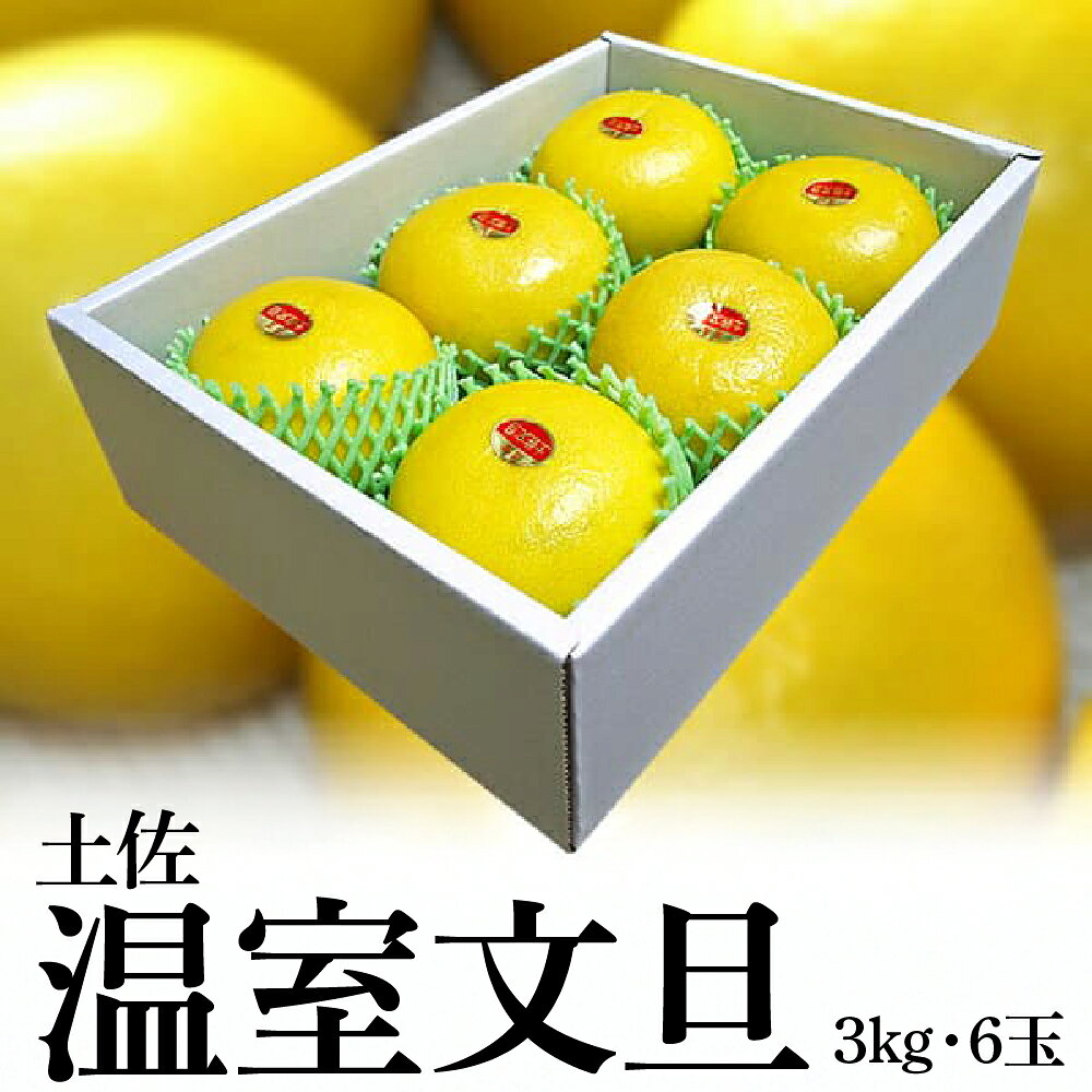 【予約】【数量限定】高知産 温室文旦 故郷納税 3kg・6玉入 産地直送 フルーツ 果物【s-kensyo】＜土佐市共通返礼品＞