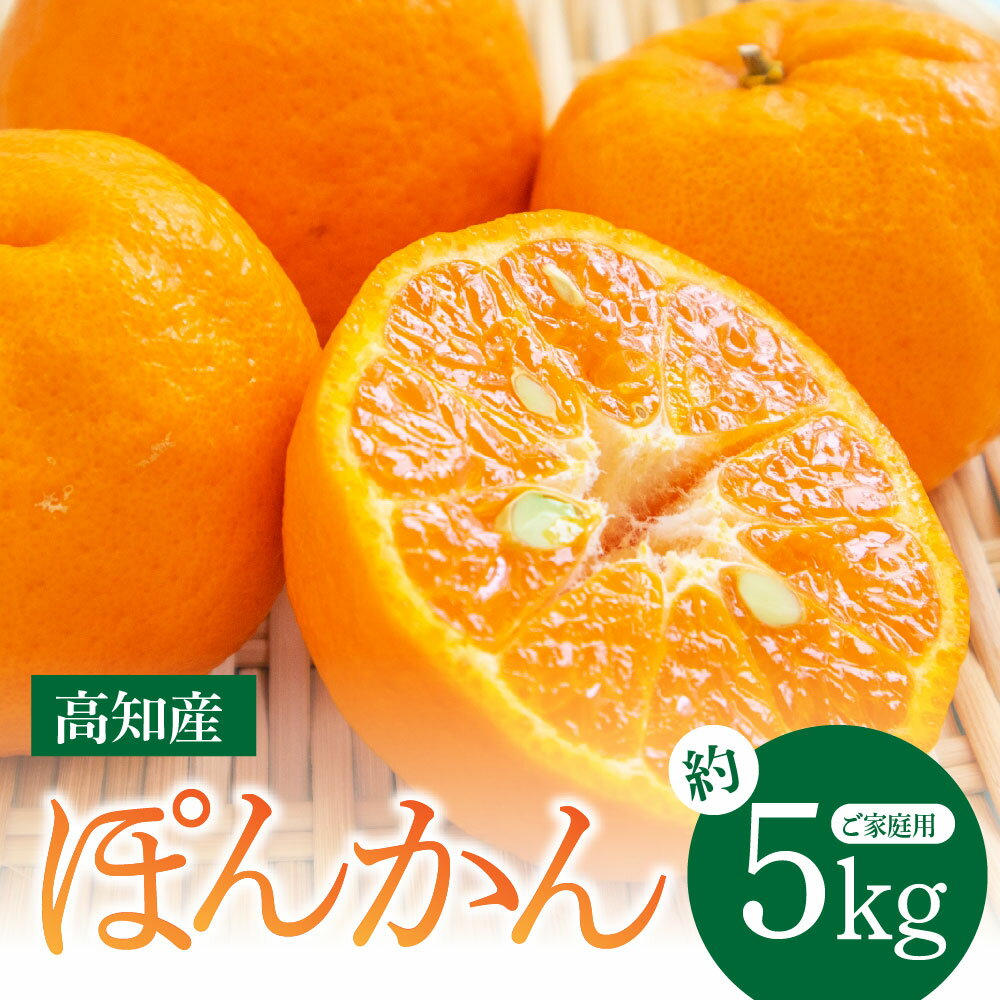 訳あり “高知県産”ご家庭用ぽんかん（約5kg）【2023年1月上旬頃より発送】〈須崎市共通返礼品〉故郷納税 みかん 農家直送 サイズ混合 有機質肥料100% ミカン 訳アリ ワケアリ 数量限定