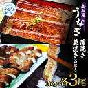 うなぎ蒲焼き 3尾 + 藁焼き(白焼き)3尾 6尾セット 1尾約140g タレ付き うなぎ 鰻 ウナギ 蒲焼き かば焼き わら焼き 天日塩付き ポン酢付き おいしい 養殖 国産 お取り寄せ 送料無料 冷凍 配送 送料無料 高知県 ふるさとのうぜい 故郷納税 返礼品 65000円