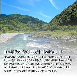 【ふるさと納税】 《定期便》 四万十の純天然水 (2L×6本)×2ケース 12回コース 水 天然水 軟水 モンドセレクション金賞受賞 ナチュラルミネラルウォーター 81000円 健康 おいしい 飲みやすい おすすめ 定期購入 定期便 故郷納税 返礼品 高知 四万十川 ご家庭用 まとめ買い･･･ 画像1