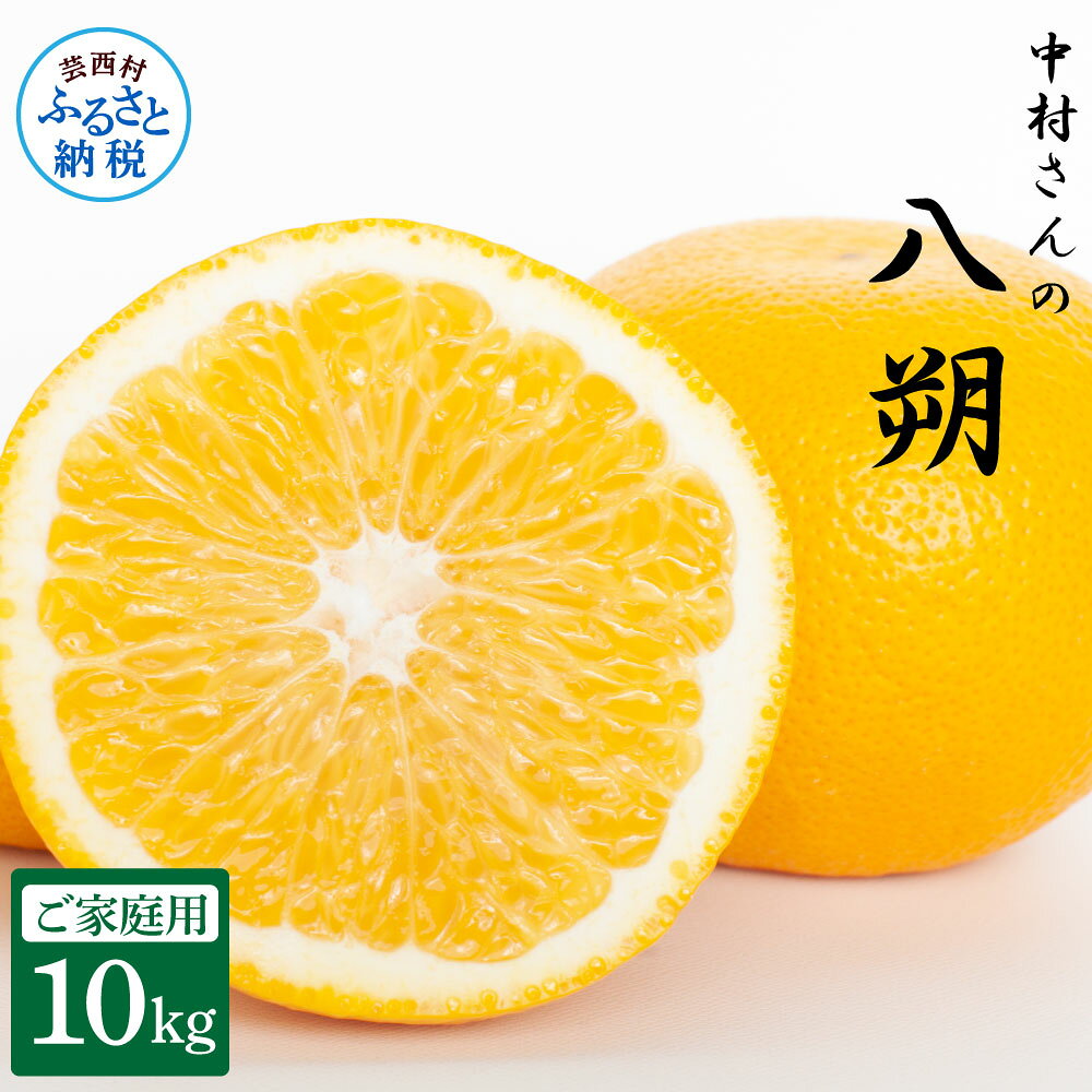 【先行予約】中村さんのご家庭用八朔10kg (S～3Lサイズ混載) ハッサク 10キロ 家庭用 ご自宅用 果物 くだもの フルーツ 柑橘 みかん 蜜柑 はっさく 人気 おいしい 送料無料 お取り寄せ 常温ふるさとのうぜい 故郷納税 高知 高知県産 返礼品 1月下旬から発送