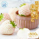 【ふるさと納税】Berry農園 天使のいちご（白いちご）200g×4パック 合計800g 完熟 苺  ...