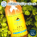 【ふるさと納税】土佐山ジンジャーエールマイルド12本セット ジンジャーエール マイルド 飲み物 セット お歳暮 御歳暮 ギフト ドリンク 大人 ジンジャー ジュース 炭酸飲料 美味しい おいしい 贈り物 故郷納税 19000円 ふるさとのうぜい 高知県産 生姜 芸西村 返礼品