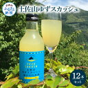 【ふるさと納税】土佐山ゆずスカッシュ12本セット スカッシュ ゆず 柚子 ジュース 飲み物 セット お歳暮 御歳暮 ギフト ドリンク 炭酸..