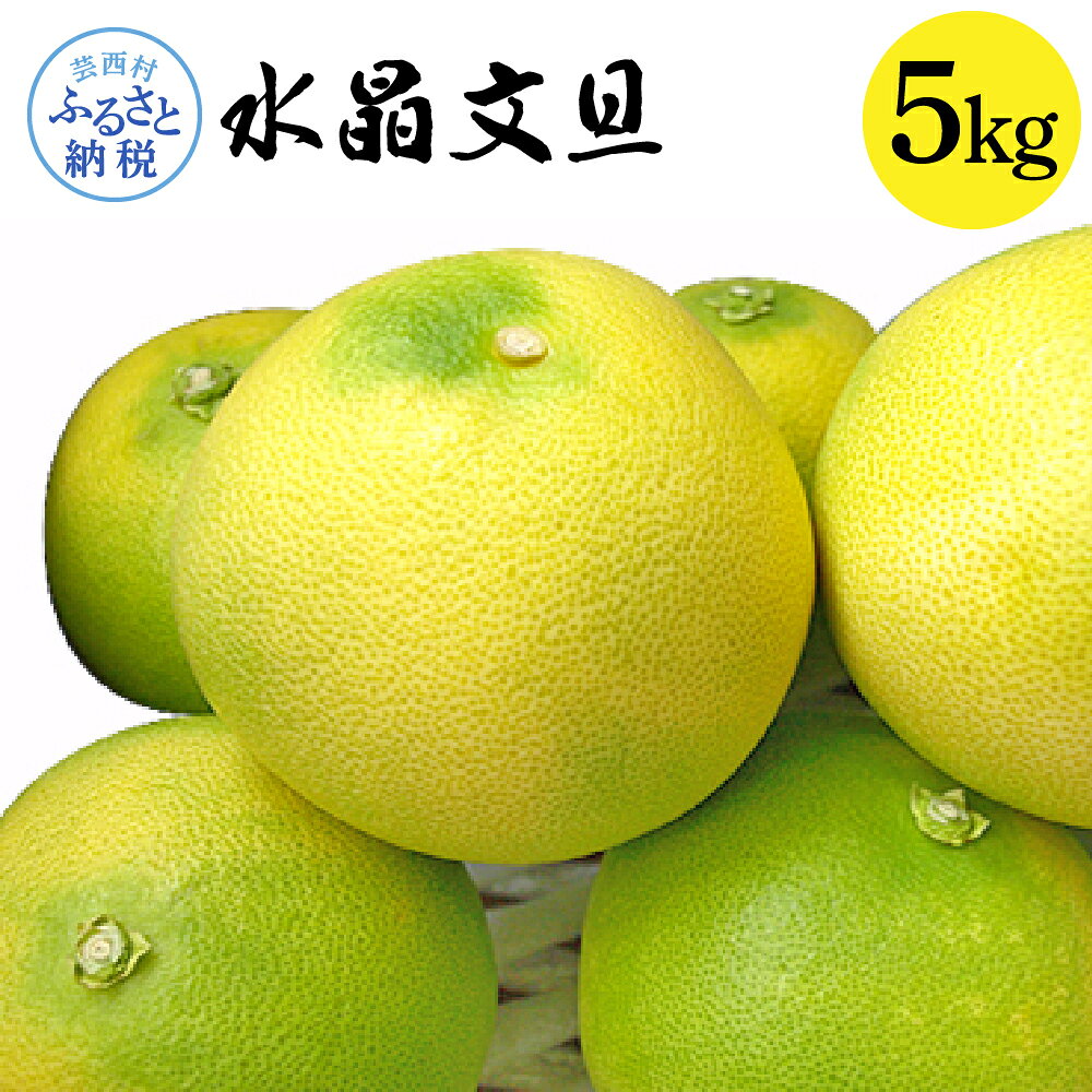 高知県産 水晶文旦 5kg 5キロ 文旦 ブンタン ぶんたん 柑橘 かんきつ 蜜柑 みかん 柑橘類 フルーツ 果物 くだもの デザート おやつ 爽やか 甘い あまい ジュース スイーツ 美味しい おいしい 常温 配送 芸西村 ふるさとのうぜい 故郷納税 返礼品