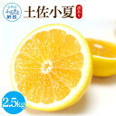 【ふるさと納税】訳あり 土佐小夏 2.5kg 2.5キロ サイズお任せ こなつ コナツ 柑橘 かんきつ 柑橘類 フルーツ 果物 くだもの デザート おやつ ジュ...