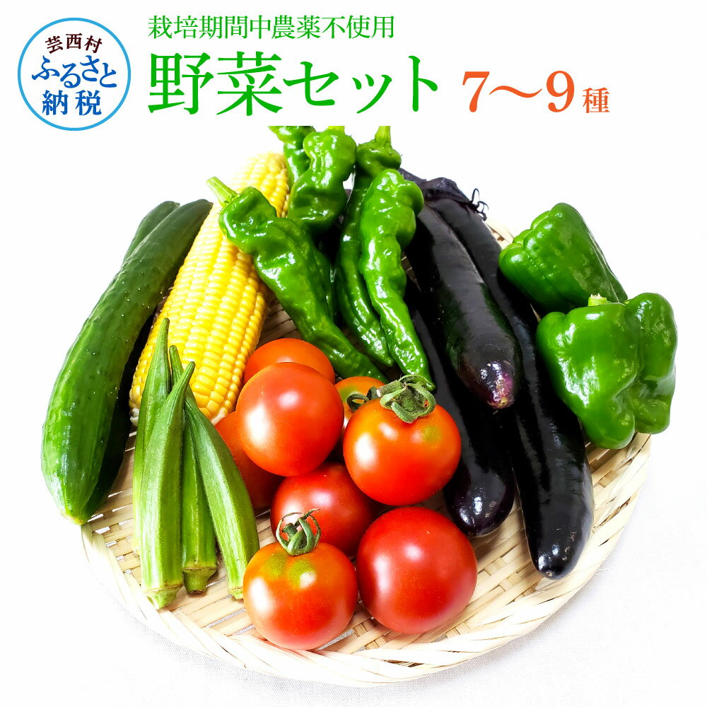 【ふるさと納税】先行予約 野菜セット（7‐9種類）栽培期間中