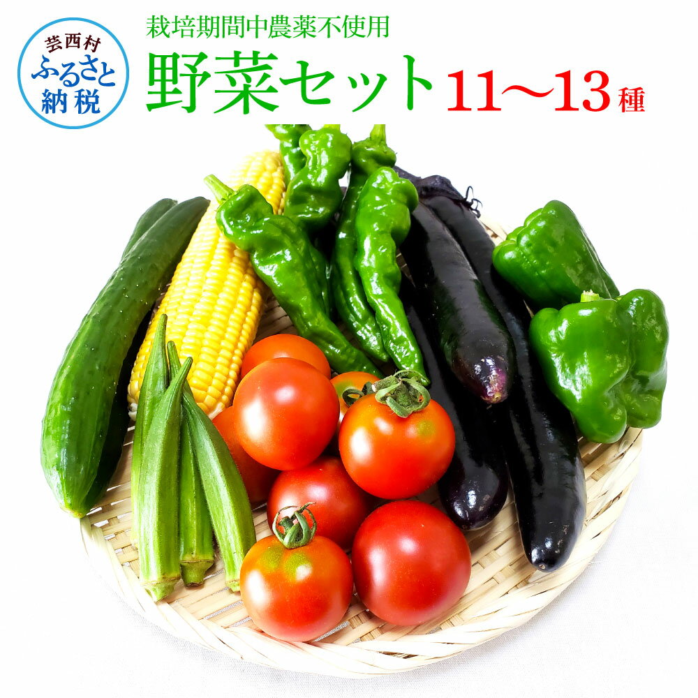 【ふるさと納税】野菜セット（11‐1