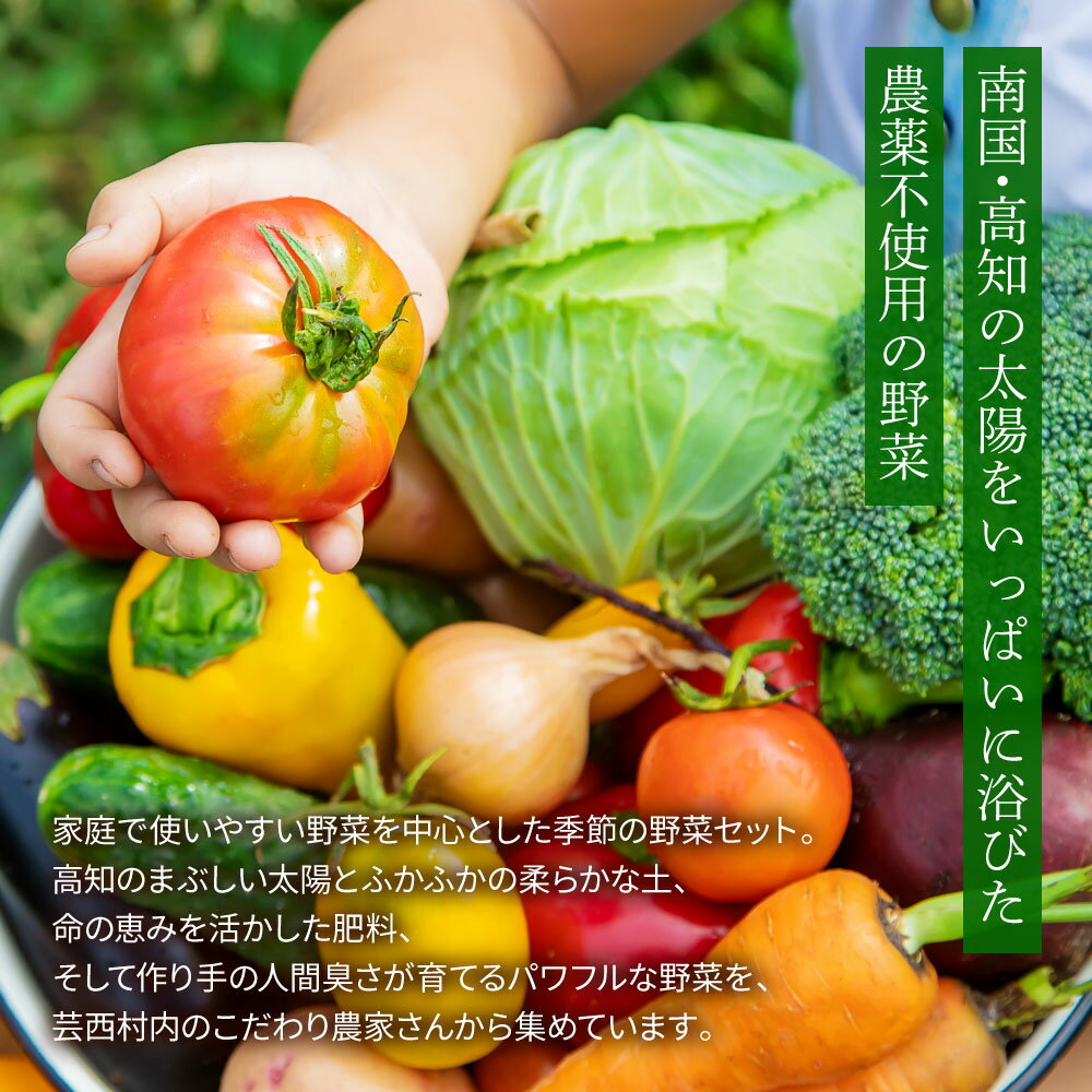 【ふるさと納税】野菜セット（7‐9種類）栽培期間中農薬不使用！ 季節の野菜 詰め合わせ セット旬 無農薬 野菜 やさい 新鮮 自然 健康 冷蔵 美味しい おいしい 食べ物 食材 秋 旬の味覚 ご当地 お取り寄せ 芸西村 6000円 故郷納税 ふるさとのうぜい 返礼品 高知県産 高知