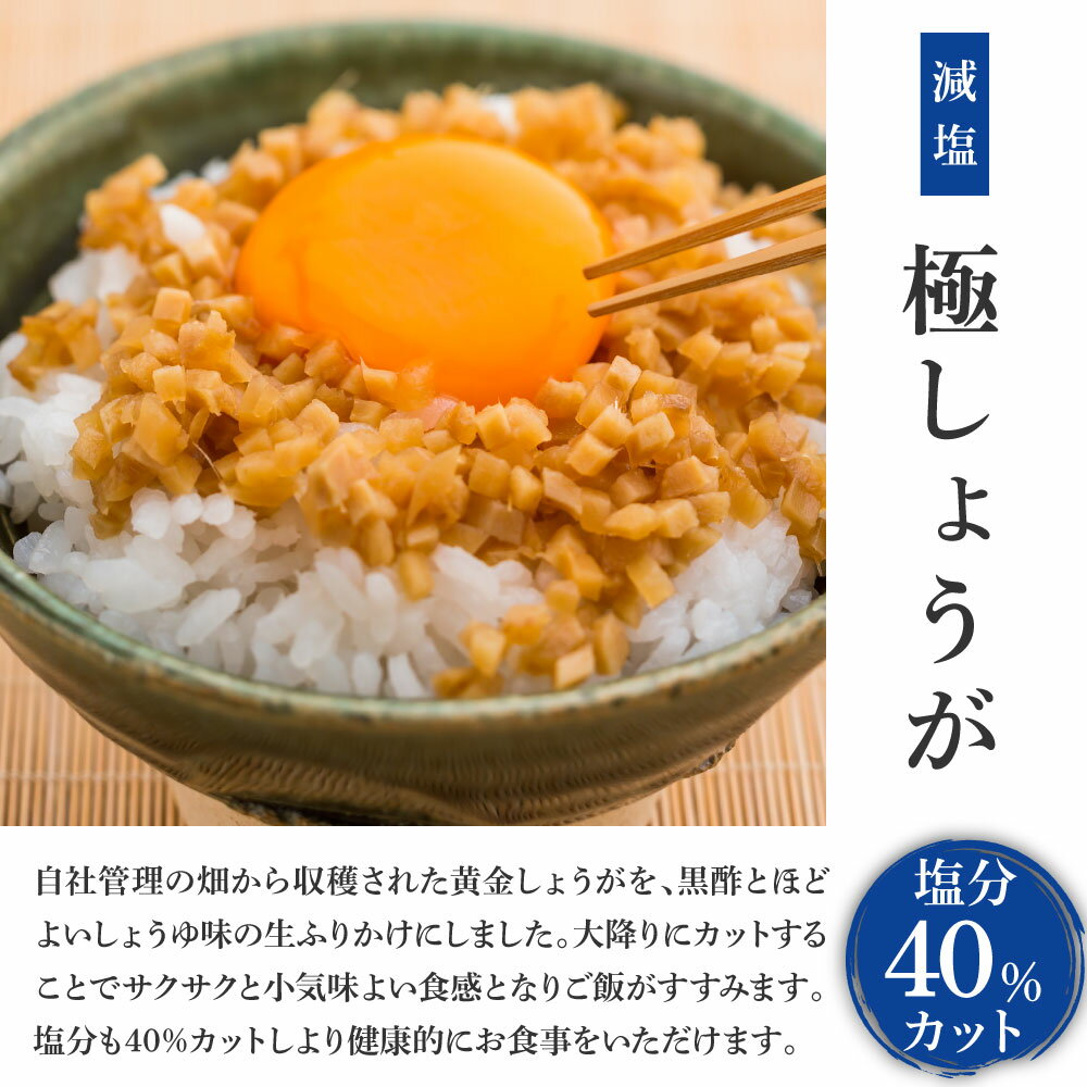 【ふるさと納税】減塩味付け極しょうが110g×10袋 減塩 しょうが ショウガ 生姜 生ふりかけ 坂田信夫商店 黄金しょうが 高知 国産 料理 おかず 調味料 ご飯のお供 混ぜご飯 刻み生姜 健康 話題 ふるさとのうぜい 故郷納税 7000円 返礼品 高知県産