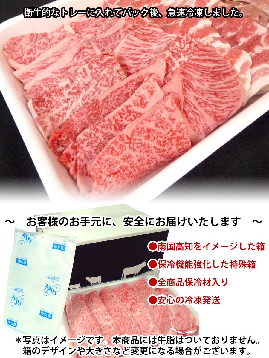 【ふるさと納税】南国高知の焼肉三昧セット1.2kg牛上カルビ 牛ロース 牛もも 豚バラやきにく ヤキニク 焼き肉 バーベキュー BBQ送料無料 焼肉セット特産品 高知県産 ギフト 【SaNeYam】