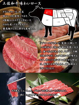 【ふるさと納税】南国土佐からのバラエティセット(3kg)和牛 豚肉 鶏肉 ソーセージ 鰹のタタキ 高級米すき焼き しゃぶしゃぶ 牛肉 福袋送料無料 高知県産 特産品 ギフト 【SaNeYam】