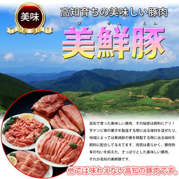 【ふるさと納税】 肉 豚肉 しゃぶしゃぶ美鮮豚 しゃぶしゃぶ 三昧セット 2kgぶた肉 豚しゃぶ シャブシャブ鍋 送料無料 特産品 高知県産 ギフト 【SaNeYam】<高知市共通返礼品>お歳暮 御歳暮