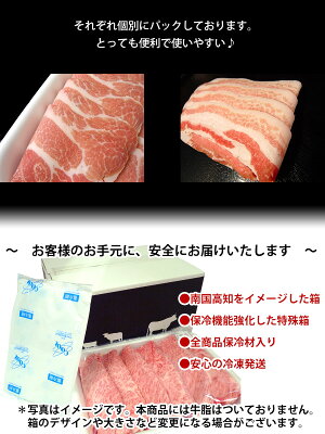 【ふるさと納税】美鮮豚(豚肩ロース・豚バラ)しゃぶしゃぶ1kgセット