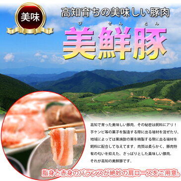 【ふるさと納税】南国土佐からのバラエティセット(3kg)和牛 豚肉 鶏肉 ソーセージ 鰹のタタキ 高級米すき焼き しゃぶしゃぶ 牛肉 福袋送料無料 高知県産 特産品 ギフト 【SaNeYam】