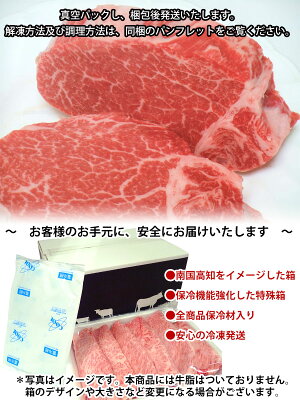 【ふるさと納税】土佐和牛A5特選ヒレステーキ100g×2枚セット牛肉ひれフィレヘレテンダーロインtenderloinsteak里脊送料無料