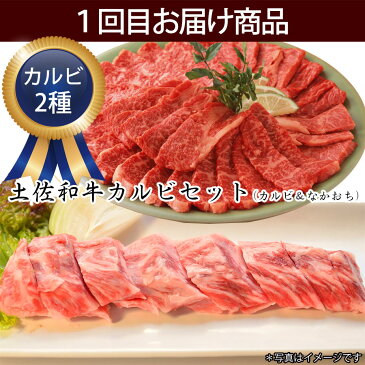 【ふるさと納税】定期便 頒布会南国土佐の焼肉パーティー3ヶ月コース焼肉セット 和牛 牛肉 豚肉 鶏肉 肉 ソーセージカルビ なかおち ロース もも 豚バラ 豚トロ 鶏もも【saneyam】